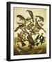 Birds, c.1840-19th Century American School-Framed Giclee Print