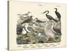 Birds, C.1860-null-Stretched Canvas