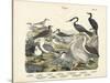 Birds, C.1860-null-Stretched Canvas