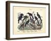 Birds, C.1860-null-Framed Giclee Print