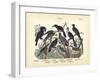 Birds, C.1860-null-Framed Giclee Print