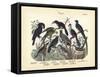 Birds, C.1860-null-Framed Stretched Canvas