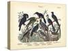 Birds, C.1860-null-Stretched Canvas