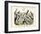 Birds, C.1860-null-Framed Premium Giclee Print