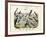 Birds, C.1860-null-Framed Giclee Print