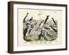 Birds, C.1860-null-Framed Giclee Print