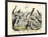 Birds, C.1860-null-Framed Giclee Print