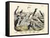 Birds, C.1860-null-Framed Stretched Canvas