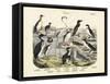 Birds, C.1860-null-Framed Stretched Canvas