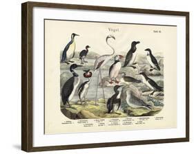 Birds, C.1860-null-Framed Giclee Print