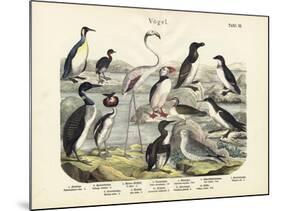 Birds, C.1860-null-Mounted Giclee Print