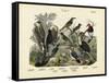 Birds, C.1860-null-Framed Stretched Canvas