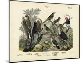 Birds, C.1860-null-Mounted Giclee Print