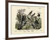 Birds, C.1860-null-Framed Giclee Print