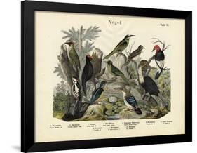 Birds, C.1860-null-Framed Giclee Print