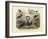 Birds, C.1860-null-Framed Giclee Print