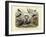 Birds, C.1860-null-Framed Giclee Print