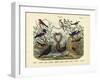 Birds, C.1860-null-Framed Giclee Print