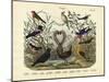 Birds, C.1860-null-Mounted Giclee Print