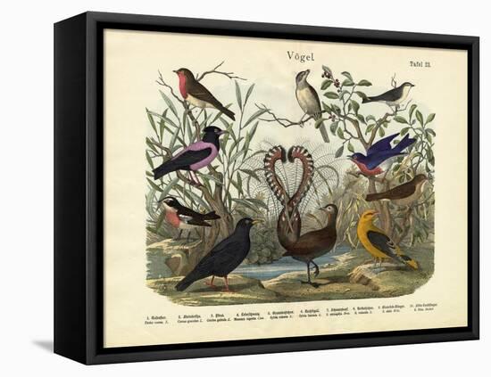 Birds, C.1860-null-Framed Stretched Canvas