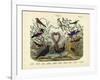 Birds, C.1860-null-Framed Giclee Print