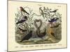 Birds, C.1860-null-Mounted Giclee Print