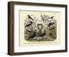 Birds, C.1860-null-Framed Giclee Print