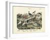 Birds, C.1860-null-Framed Giclee Print