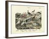 Birds, C.1860-null-Framed Giclee Print