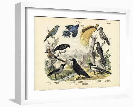 Birds, C.1860-null-Framed Giclee Print