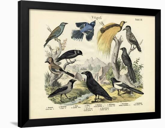 Birds, C.1860-null-Framed Giclee Print