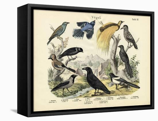 Birds, C.1860-null-Framed Stretched Canvas