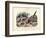 Birds, C.1860-null-Framed Giclee Print