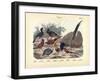 Birds, C.1860-null-Framed Giclee Print