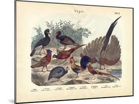 Birds, C.1860-null-Mounted Giclee Print