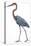 Birds: Ciconiiformes, Goliath Heron (Ardea Goliath)-null-Stretched Canvas