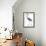 Birds: Ciconiiformes, Goliath Heron (Ardea Goliath)-null-Framed Giclee Print displayed on a wall