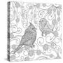 Birds Coloring Page. Animals. Hand Drawn Doodle. Ethnic Patterned Illustration. African, Indian, To-Palomita-Stretched Canvas