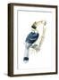 Birds, Coraciiformes, Great Hornbill, (Buceros Bicornis), Male Feeding, Female Sitting on Nest-null-Framed Giclee Print