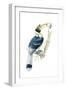 Birds, Coraciiformes, Great Hornbill, (Buceros Bicornis), Male Feeding, Female Sitting on Nest-null-Framed Giclee Print