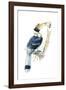 Birds, Coraciiformes, Great Hornbill, (Buceros Bicornis), Male Feeding, Female Sitting on Nest-null-Framed Giclee Print