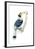 Birds, Coraciiformes, Great Hornbill, (Buceros Bicornis), Male Feeding, Female Sitting on Nest-null-Framed Giclee Print