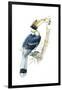 Birds, Coraciiformes, Great Hornbill, (Buceros Bicornis), Male Feeding, Female Sitting on Nest-null-Framed Giclee Print