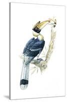 Birds, Coraciiformes, Great Hornbill, (Buceros Bicornis), Male Feeding, Female Sitting on Nest-null-Stretched Canvas