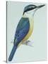 Birds: Coraciiformes, Sacred Kingfisher (Todiramphus Sanctus)-null-Stretched Canvas