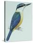 Birds: Coraciiformes, Sacred Kingfisher (Todiramphus Sanctus)-null-Stretched Canvas