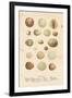 Birds Eggs II-Gwendolyn Babbitt-Framed Art Print