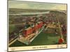 Birds Eye View of Boston - 1902-null-Mounted Art Print