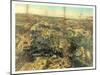 Birds Eye View of Greenwood Cemetery Near New York, USA, America-John Bachmann-Mounted Giclee Print