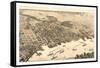 Birds Eye View of Jacksonville, Fla., Circa 1876, USA, America-null-Framed Stretched Canvas